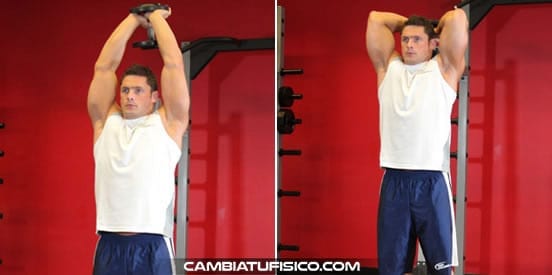 Extensiones De Tr ceps Con Mancuerna Por Encima De La Cabeza