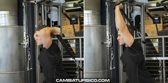 Extensiones De Tr ceps En Polea Baja Tr ceps M s Marcados Extensiones De Tr ceps En Polea Baja Tr ceps M s Marcados