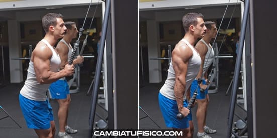 Agarre de cuerda para triceps – HIGH END FITNESS