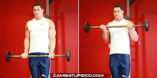 Curl de biceps con barra en z de pie 