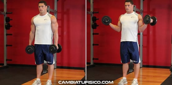 Curl con mancuernas de pie supinando