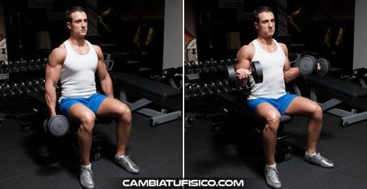 Curl con mancuernas sentado con giro