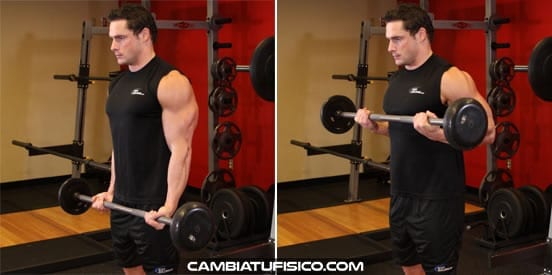 Curl con barra - Entrenamiento para mujeres - Biceps 