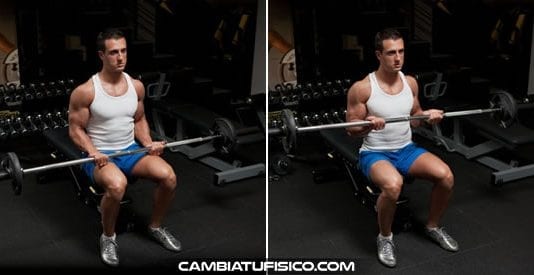 Curl con barra sentado