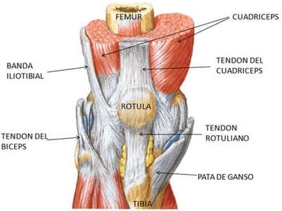 Tendinitis