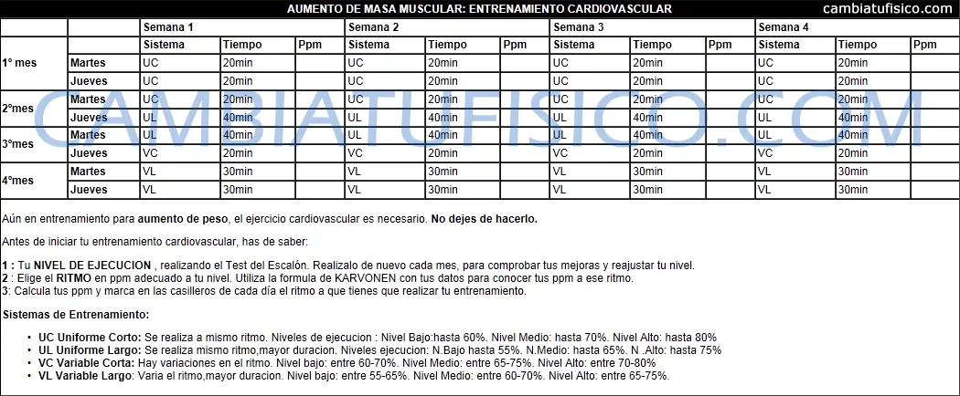 Tabla de ejercicio aeróbico