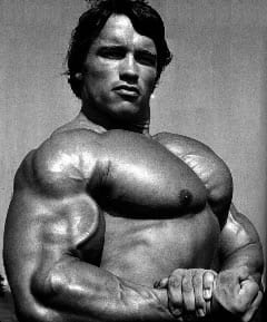 Arnold