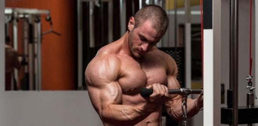 Aumentar bíceps