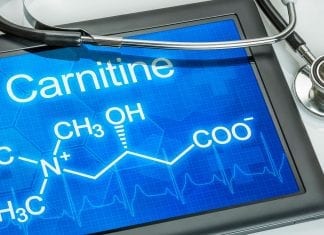 carnitina