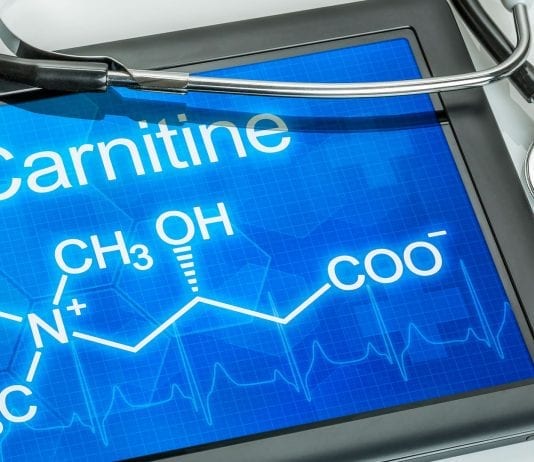 carnitina