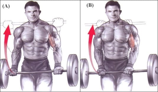 Curl con Barra EZ : Desarrolla unos Bíceps de Acero