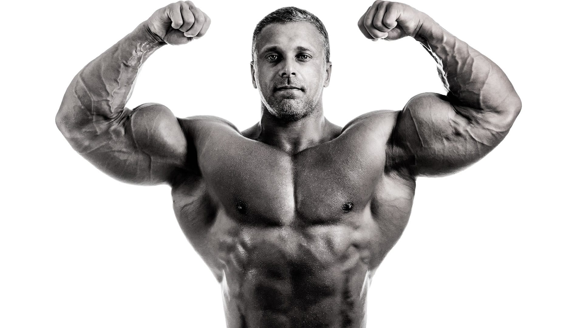 Alexander Steel Muscle