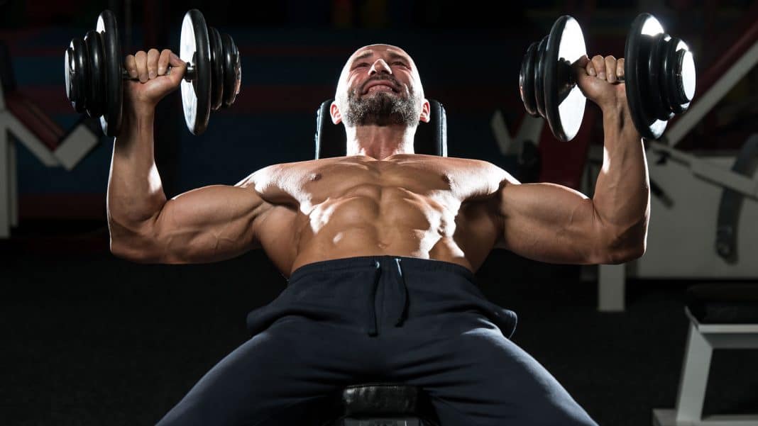 Grupo muscular de ejercicios para cada rutina
