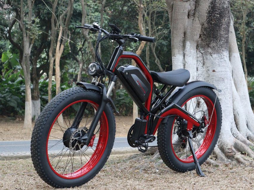 Bicicletas eléctricas: ¿Realmente sirven para perder peso y mejorar tu salud cardiovascular? 1 Elegir la bicicleta eléctrica adecuada