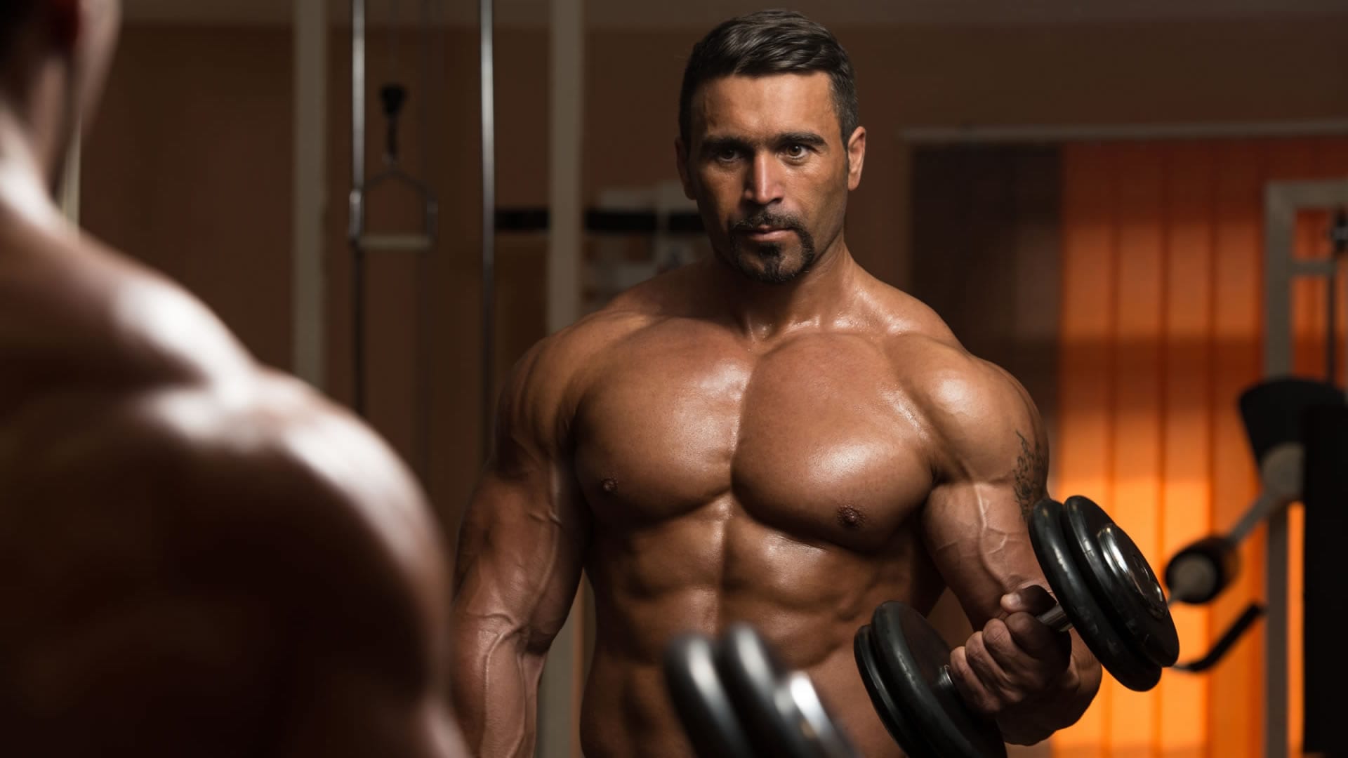 Don Donato Bodybuilder