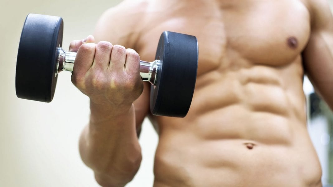 beneficios de entrenar un musculo por dia