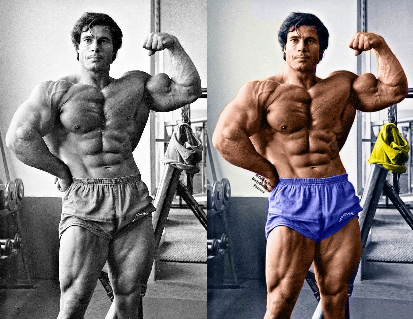Físico de Franco Columbu
