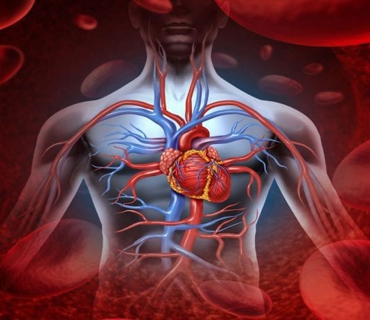 Como calcular la frecuencia cardiaca máxima (Fcmax) Frecuencia Cardiaca