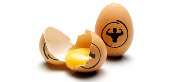 Huevos en la dieta