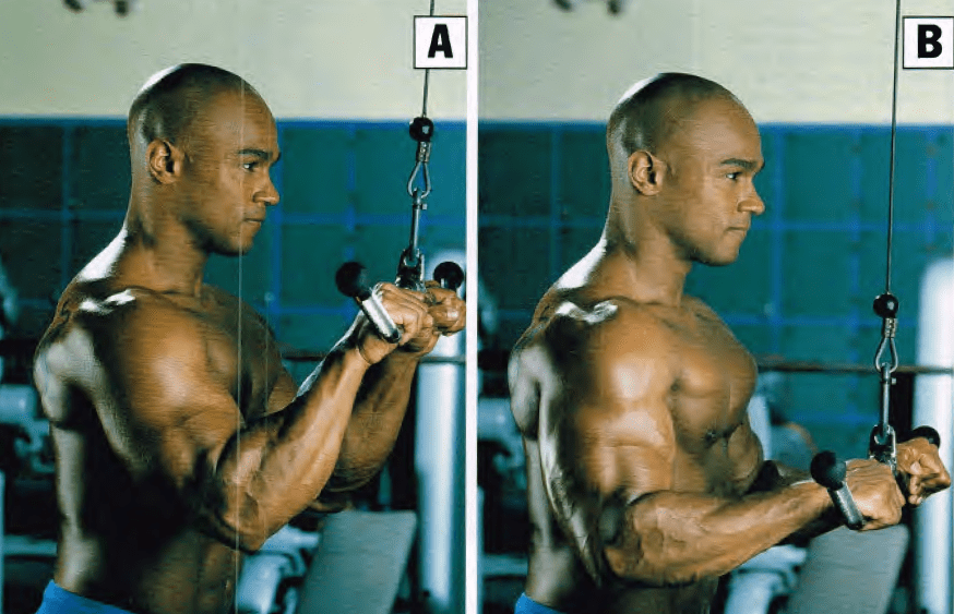 jalones para triceps