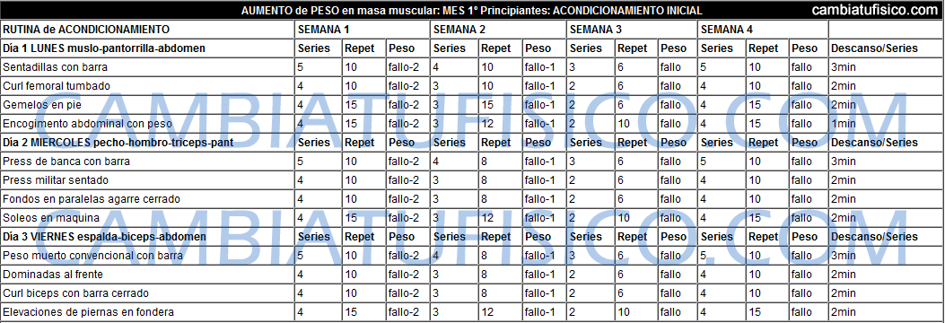 Tabla de Entrenamiento Principiantes Mes 1