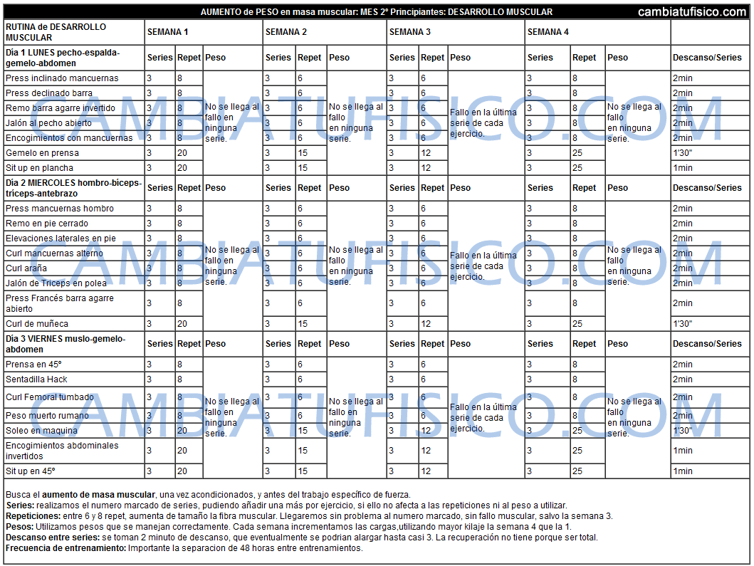 Tabla de Entrenamiento Principiantes Mes 2