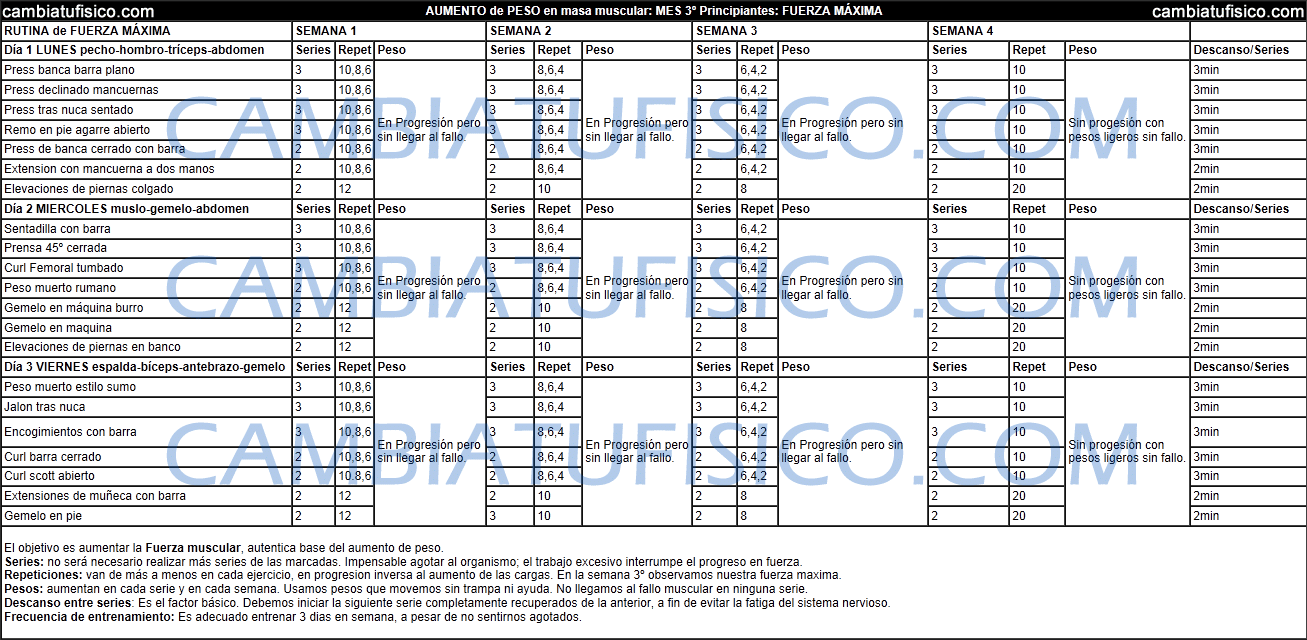 Tabla de Entrenamiento Principiantes Mes 3