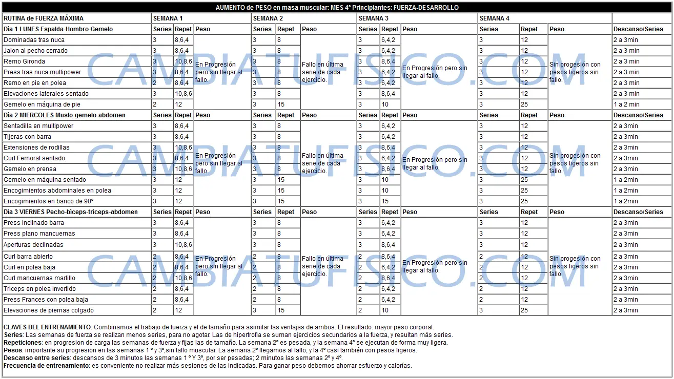 Tabla de Entrenamiento Principiantes Mes 4