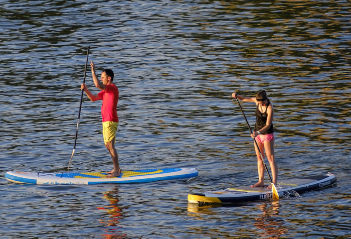 paddle surf