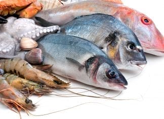 Guía definitiva sobre el pescado