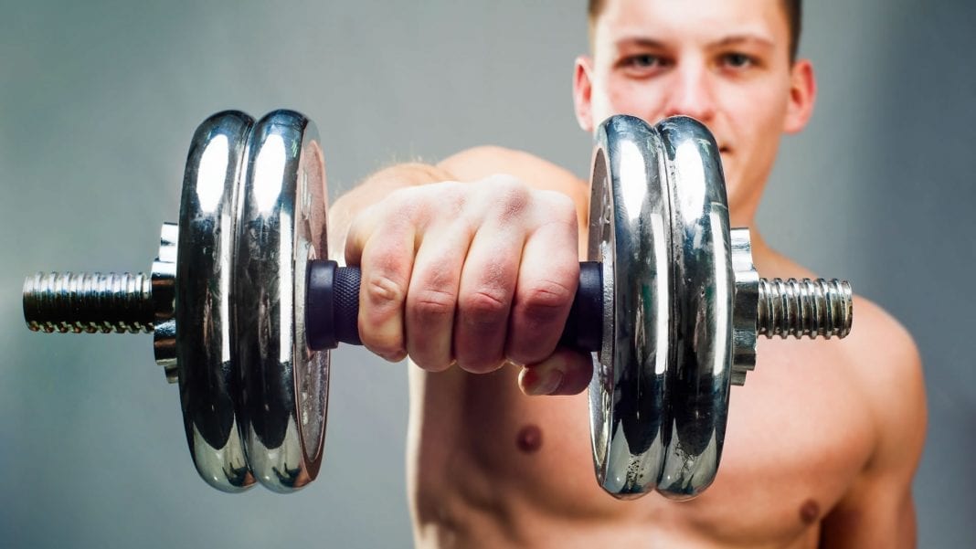 Guia de entrenamiento muscular pdf