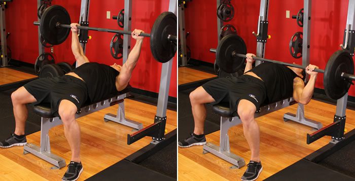 Banca de entrenamiento, banca para abdominales, banca para ejercicios, banco  para pesas, pectorales