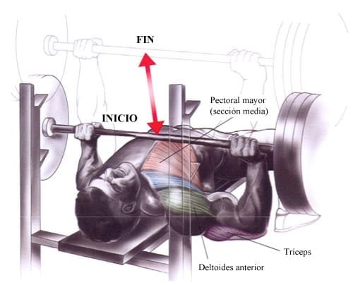 Banca de entrenamiento, banca para abdominales, banca para ejercicios, banco  para pesas, pectorales