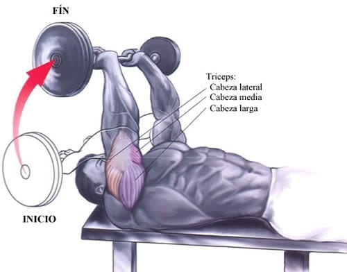 GYM: Press Francés tumbado en Banco