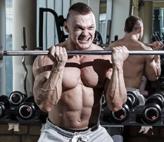 Principios Weider,Entrenamiento