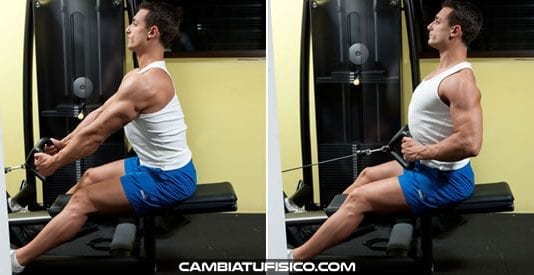 Remo en polea sentado (Remo Gironda) Remo en polea sentado