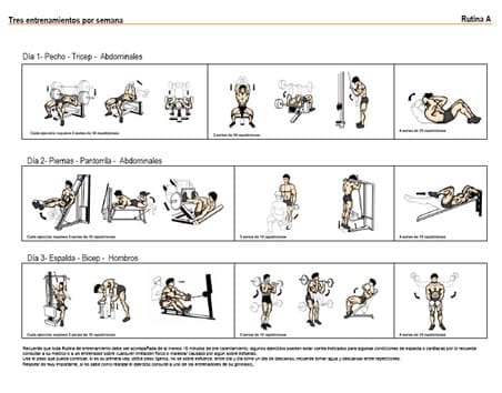 Bienes Arreglo decidir ▷ Dos rutinas de pesas para principiantes en PDF | Descarga directa
