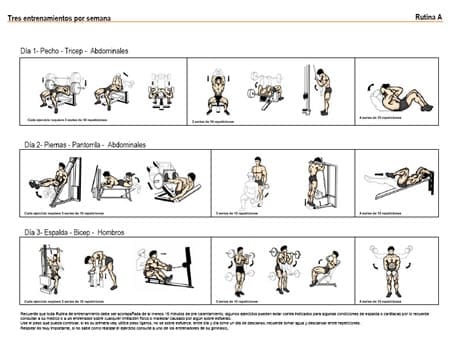 eBooks Kindle: RUTINA DE EJERCICIOS para Hombres. ¡Rutina  lista de Lunes a Viernes en base a 45 minutos!: Moldea tu cuerpo en el GYM  ¡Recomendaciones Detalladas para Entrenarte a tiMismo! (Spanish