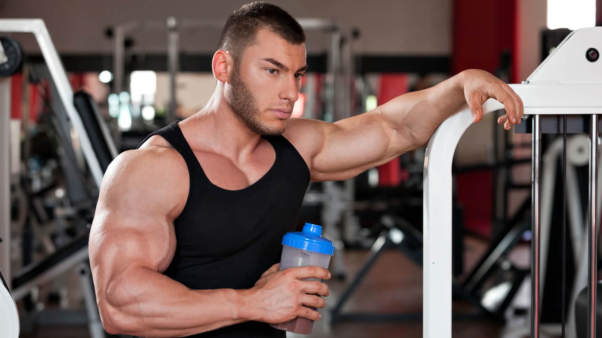 Para que sirve la proteína en el gym