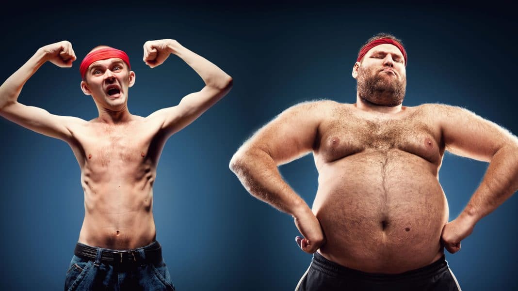 Dieta completa para ectomorfo Dieta completa para ectomorfo